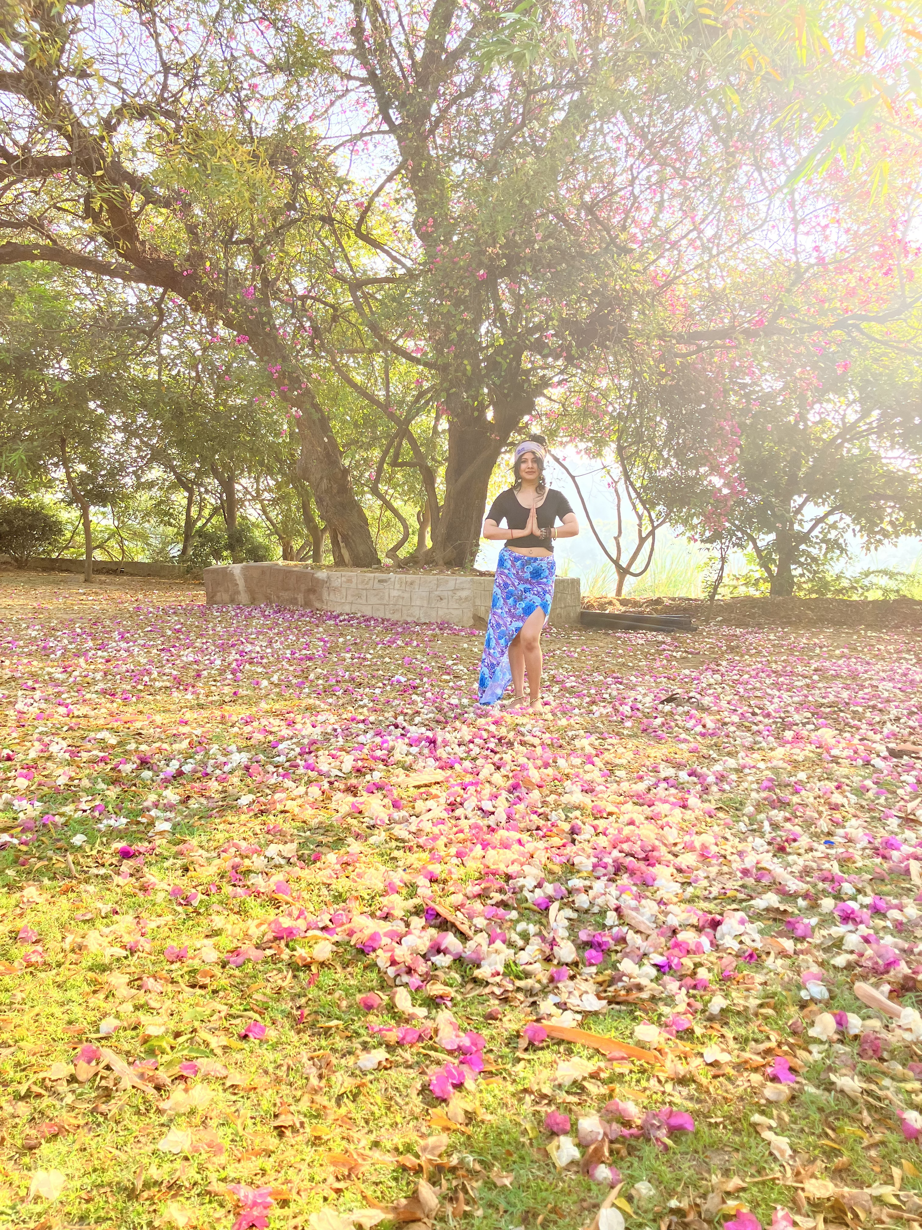 Close-up of green leaves and stems with water droplets in a dark, natural setting.